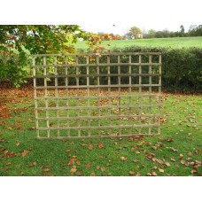 Square Trellis 6' x 4'